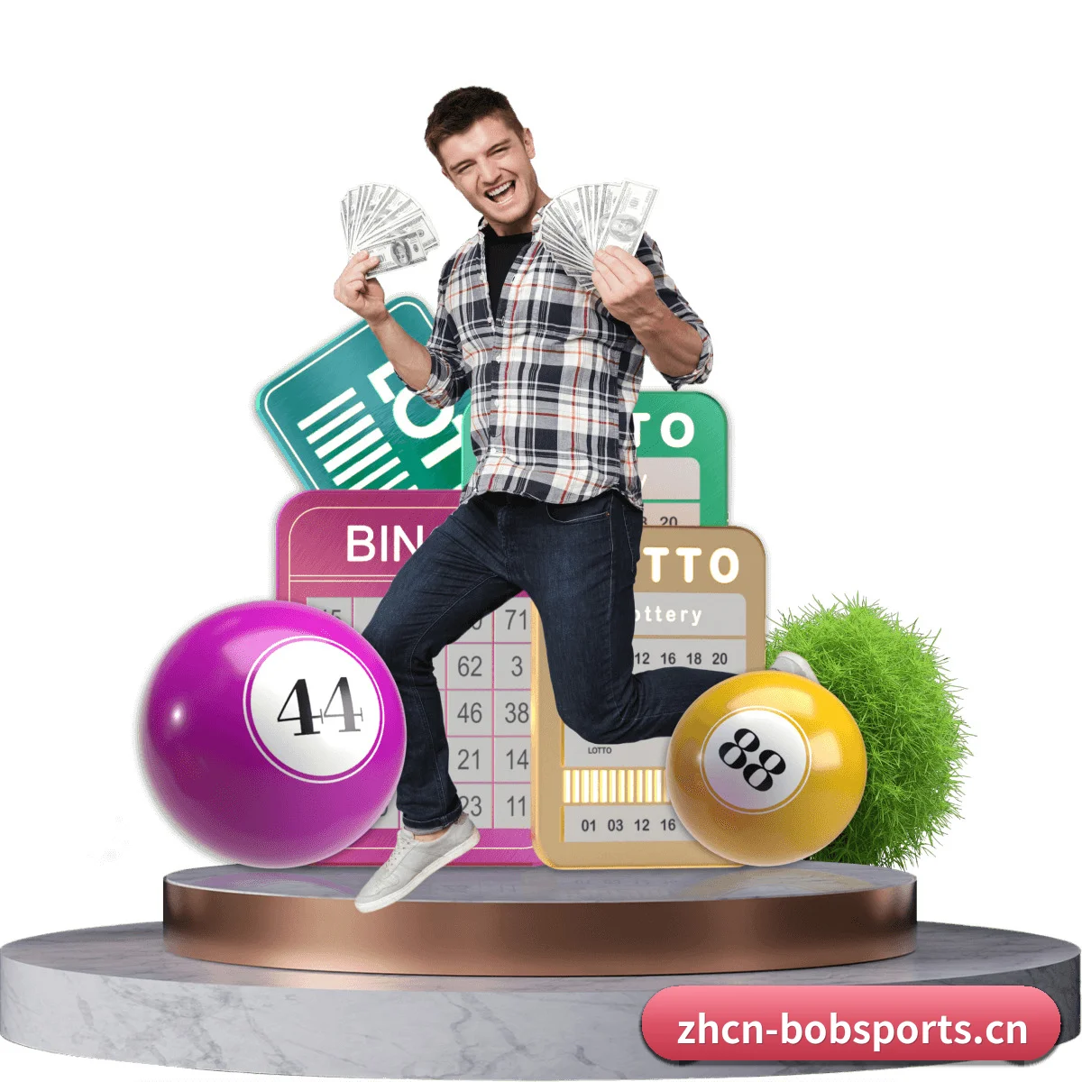 BOB网址 APP